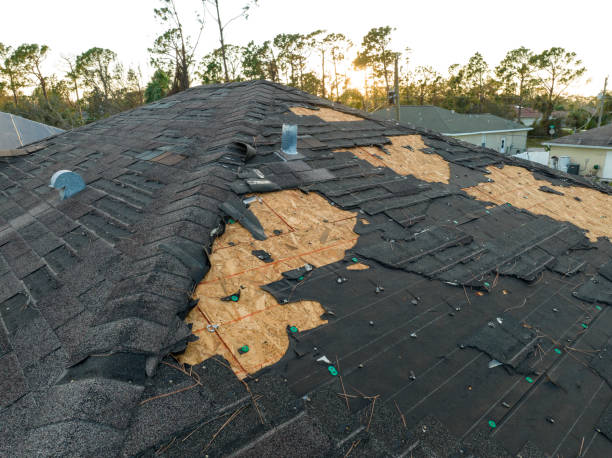 Best Asphalt Shingle Roofing  in Carthage, TX